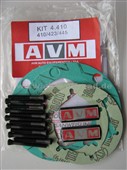AVM Reparatursatz für Freiläufe